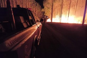 Cerca de 200 hectáreas fueron arrasadas por el fuego: la calma llegó con la lluvia, tras varias horas de intenso trabajo