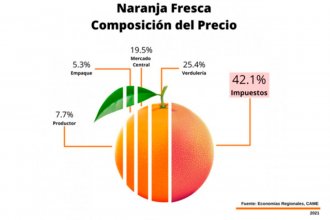 Los impuestos explican el 42% del precio de la naranja y el único que no gana es el productor