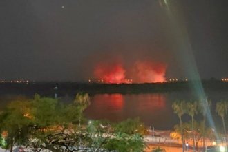 Bomberos y Prefectura trabajan para combatir un importante incendio en la Isla Puente