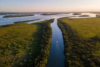 Islas escondidas del río Uruguay: el lugar que multimillonario descubrió en su kayak y convertirá en parque natural