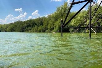 Detectan “cianobacterias tóxicas” en aguas que vuelcan directo al río Uruguay