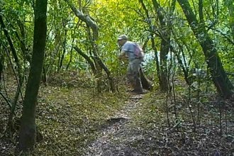 Una cámara registró el accionar de cazadores furtivos en una reserva de vida silvestre