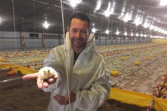 De 12 gallinas a producir 60 millones anuales: el caso de una avícola entrerriana nacida en 1936