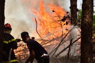 Bomberos entrerrianos tuvieron su recompensa por el combate de incendios en Corrientes