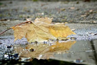 Arranca el otoño con alerta amarillo por tormentas y descenso de temperatura