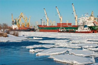 Tras una travesía de 50 días, llegaron a Rusia 3000 toneladas de frutas argentinas