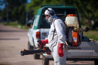 Un posible caso de chikungunya encendió alarmas en una ciudad entrerriana
