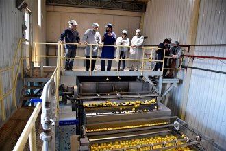 Citrícola uruguaya se asoció con una empresa argentina para producir y exportar aceite de limón
