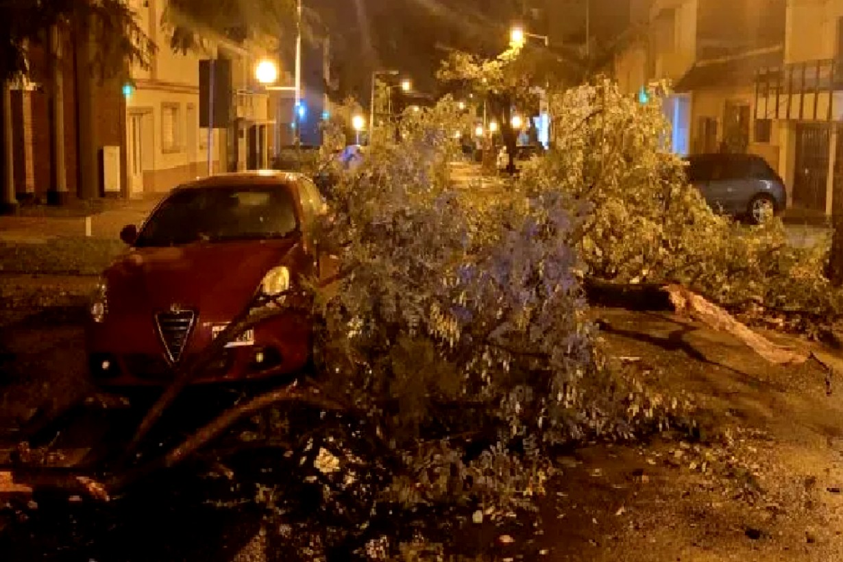 Voladuras de techos y árboles caídos, saldos del paso de la tormenta ...