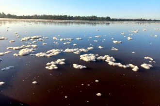 ¿Por qué el río se llenó de espuma blanca?: especialistas explicaron el fenómeno