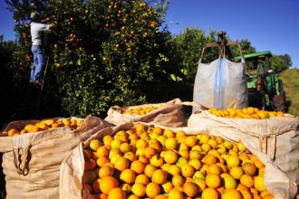 Los seis puntos del reclamo que el sector frutícula le hace al gobierno nacional