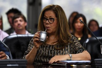 Camaño alertó que con el <i>jury</i> a Cecilia Goyeneche “se está diciendo ‘no investigues al poder’”