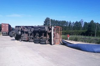 Camión cargado con chips de madera volcó en plena autovía Artigas