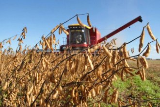 "No se consigue el gasoil necesario para levantar la soja y sembrar el trigo", alertan trabajadores rurales