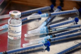 Cuántas dosis de vacunas Covid-19 se desperdiciaron en el país: motivos, laboratorios y detalle por provincia