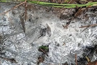 Allanaron a una empresa de Chajarí, sospechada de contaminar un arroyo