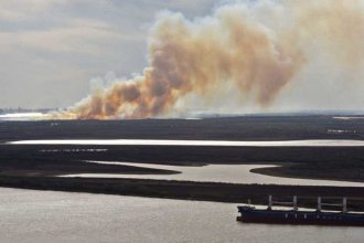 Ambientalistas cortarán el puente Victoria-Rosario en protesta por las quemas en el Delta