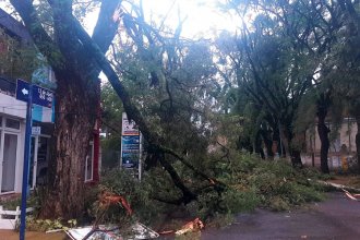Por la tormenta, hay problemas en el suministro eléctrico a Colón, Villa Elisa y San José