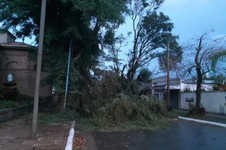 Temporal en Colón: en el sur y el oeste hay voladuras de techo, caídas de árboles y cortes de cables