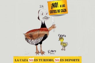 La lucha contra la caza de animales autóctonos es binacional: entrerrianos reciben apoyo uruguayo