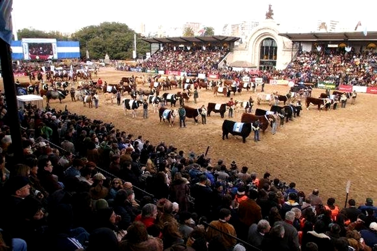 Qué premios quedaron para Entre Ríos en la 134° Expo Rural de Palermo ...