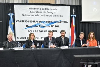 Energía eléctrica a hogares, industria y comercio, el objetivo planteado en el Consejo Federal