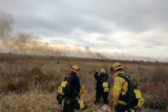 Provincia da cuenta de los operativos contra incendios: son más de 100 los brigadistas en islas del Delta
