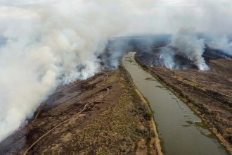 Incendios del Delta: pedido de gobernadores, recorrida de Cabandié e intervención de las Fuerzas Armadas