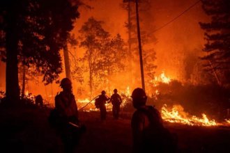 Incendios en el delta: desmienten una grave acusación contra Bomberos Voluntarios Colón
