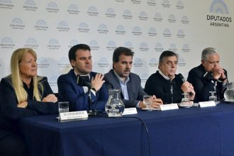 Por sus críticas al fiscal Luciani, Juntos por el Cambio pidió el juicio político a Alberto Fernández