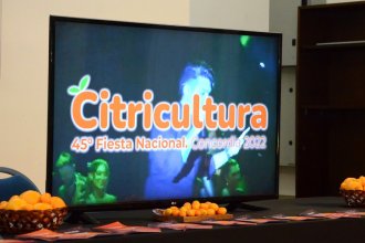Fiesta Nacional de la Citricultura: últimos días para inscribirse en el Concurso de artistas