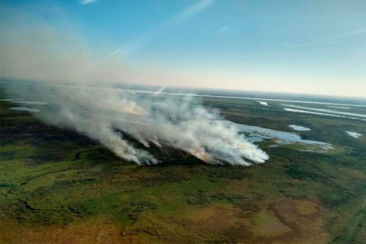 Incendios en el Delta.