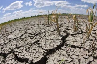 Casi el 60% del país está atravesando una sequía: Entre Ríos, entre las zonas más afectadas