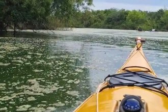 “Basta de desidia”: denuncian la existencia de “cloacas ilegales” en afluente del río Uruguay
