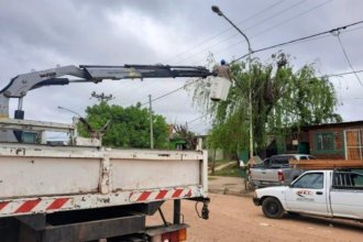 En comercios y viviendas de al menos 10 barrios detectaron conexiones clandestinas y recuperaron cables hurtados