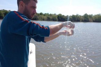 Del río al laboratorio: así se monitorea la calidad del agua en zonas balnearias de Gualeguaychú