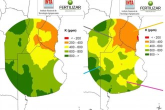 Nuevo problema en el horizonte de la agricultura: cada vez menos potasio en los campos entrerrianos