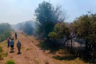 Fuego al sur de Entre Ríos: 10 hectáreas de bosque nativo, consumidas por las llamas