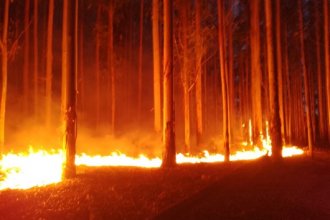 Les llevó 9 horas combatir el fuego y este lunes debieron volver a la misma estancia por otro incendio de gran magnitud