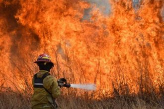 Reportaron dos focos de incendios forestales activos en Entre Ríos