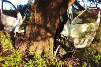 Despiste y contra un árbol: hay dos heridos de gravedad, internados en diferentes provincias
