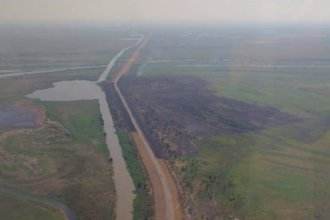 Sigue el monitoreo, tras extinguir dos focos de incendios en el delta del Paraná