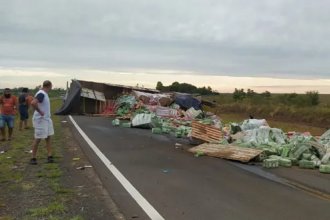 Camión que se dirigía a Entre Ríos volcó y chocó: dos personas perdieron la vida