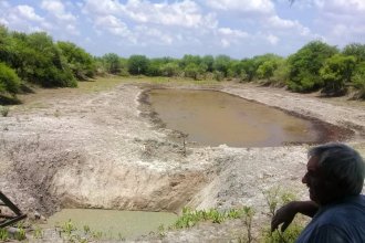 Histórica sequía: estudio muestra el “drama sojero” que viven ciudades entrerrianas y otras más en el país