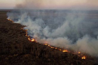 Combate de incendios en las islas del Delta: el monitoreo es constante