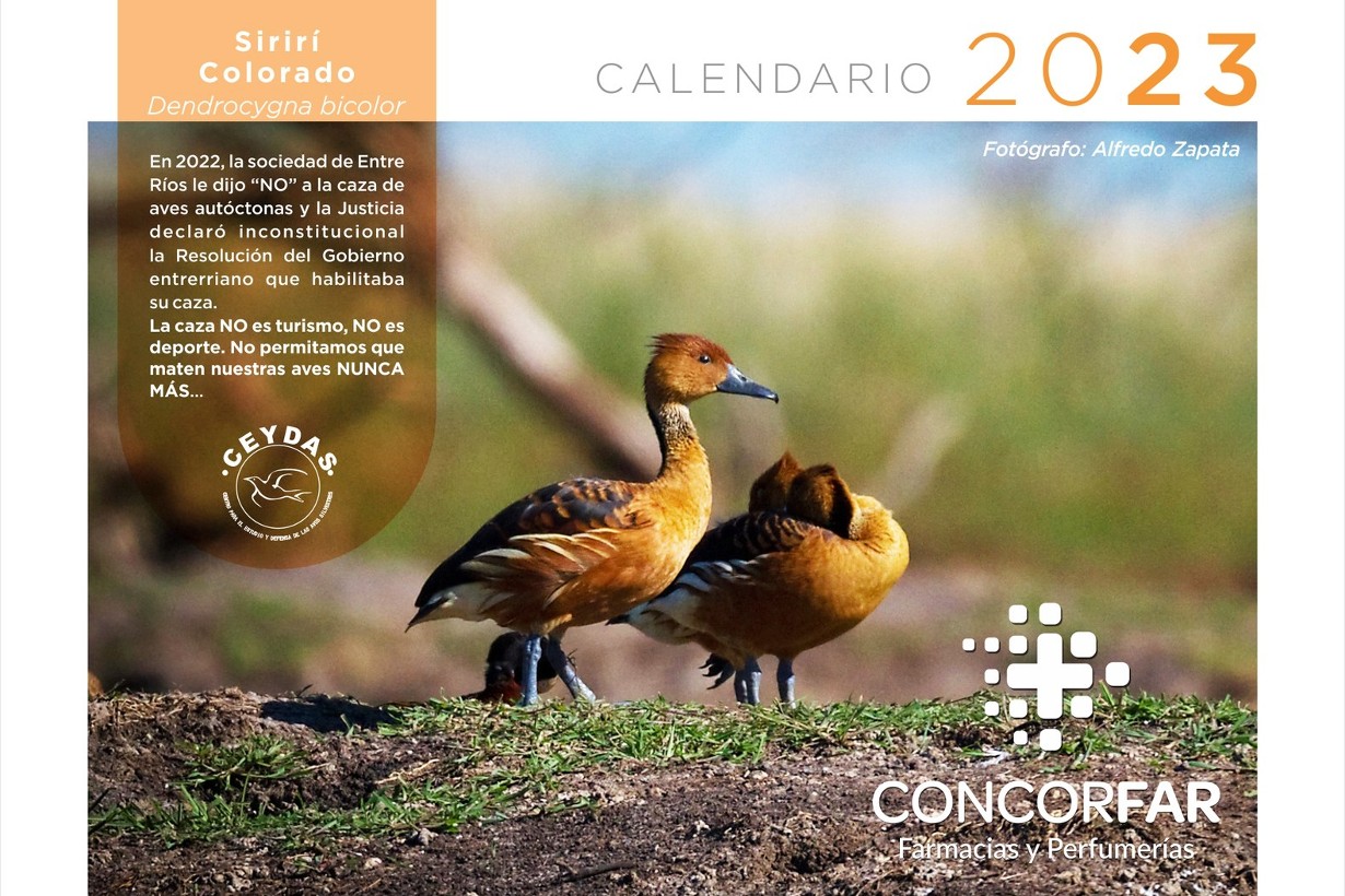 Lanzan original calendario para desalentar la cacería de animales