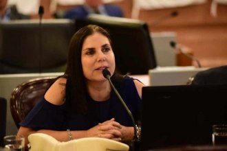 “Si va a funcionar la Comisión de Juicio Político, que lo haga también para tratar los pedidos contra Alberto y Cristina”, reclamó Lena