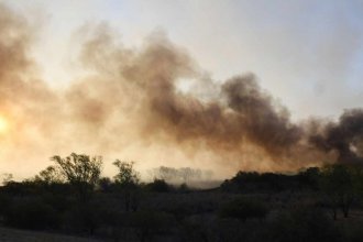 Están controlados todos los incendios en Entre Ríos, según reporte nacional