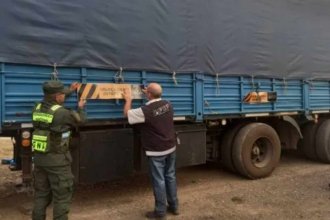 Operativo en el norte entrerriano: detectaron toneladas de soja ilegal que iban destino a Misiones