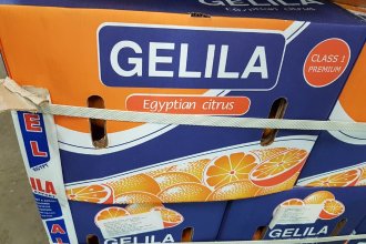 Por restricciones del Senasa, Argentina deberá importar naranjas desde Egipto